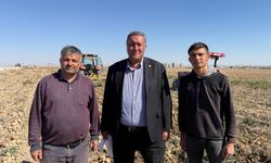Gürer: Patateste en büyük sorun pazar