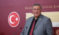 Gürer’den Bakan Işıkhan'a soru önergesi