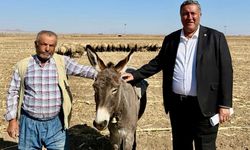 CHP'li Gürer, “Hayvancılıkta sorunlar artıyor”