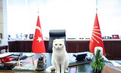 Özgür Özel'den 4 Ekim Dünya Hayvanları Koruma Günü paylaşımı
