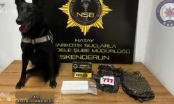 Hatay'da 5 milyon 500 bin TL'lık kokain ele geçirildi; 2 tutuklama