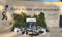 Hatay’da 89 kilo 200 gram esrar ve bin 876 kök kenevir ele geçirildi; 3 tutuklama