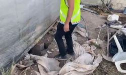 Kaçakçılara satılmak istenen 1500 yıllık mozaik ele geçirildi