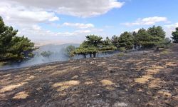 Konya'da orman yangını kontrol altında