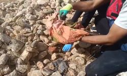 Tarlada taş ve tezek yığını arasına gizlenen silah ve uyuşturucu ele geçirildi: 12 gözaltı