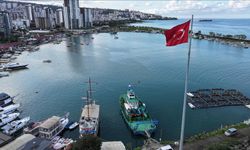Karadeniz'de balık stoklarının araştırılmasına yönelik çalışmalar devam ediyor