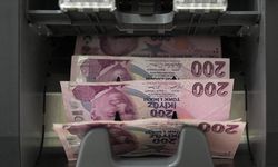 Zirai dondan etkilenen üreticilere 13,2 milyar lira destek ödemesi yapılmaya başlandı