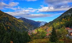 Rize'de Ayder Yaylası'nda sonbahar renkleri hakim oldu