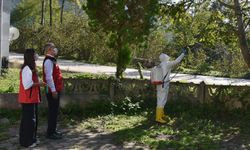 Tarım ve Orman Bakanlığının kahverengi kokarca zararlısına karşı mücadelesi sürüyor