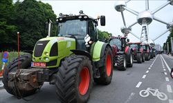 AB, çiftçilerini gençleştirmek istiyor