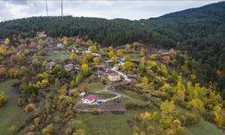 Ilgaz Dağı'nda sonbahar tüm renkleriyle yaşanıyor