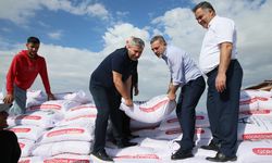 Sincan Belediyesinden üreticilere buğday tohumu desteği