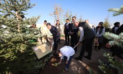 OGM: 30 milyon fidan sahiplenildi