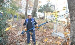 Mamak’ta sonbahar budama çalışmaları sürüyor