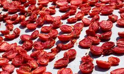 Dünya ikincisi olduğumuz kuru domates ihracatı 100 milyon doları aştı
