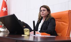 CHP’li Biçer Karaca’dan TİHEK’e: Kadının soyadı, cezaevi, çocuk işçiliği soruları