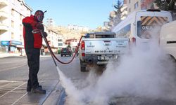 Çankaya’da dört mevsim haşere ile mücadele