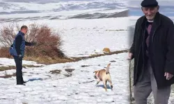 Sivas'ta 8 gündür kayıp; karlı arazide 'Palet' arama yapıyor