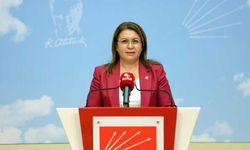 CHP’li Biçer Karaca: Adalet Bakanlığı’ndan 1800 soru önergesine cevap yok?