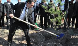 Orman gönüllüsü Bayram Eren Arslan adına hatıra ormanı oluşturuldu