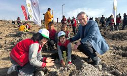 Çerkeş ilçesinde 11 Kasım Milli Ağaçlandırma Günü'nde fidan dikildi