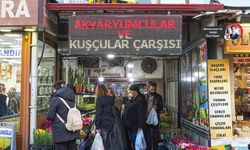 Başkentin en cıvıltılı çarşısı