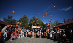 Ana sınıfı öğrencileri, 'Lösemili Çocuklar' için gökyüzüne balon bıraktı