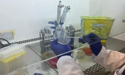 Ankara'da yılda 1 milyon 800 bin gıda analizi