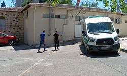 Arızalanan aracın sürücüsen yardım etmek isterken otomobil çarptı, öldü