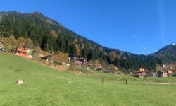 Ayder Yaylası’nda teleferikle ulaşım planlanıyor