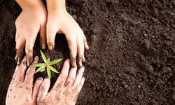 Milli Ağaçlandırma Günü 11 Kasım’da rekor kırıldı