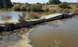 'Biriken atıklar temizlenmezse çöpler Ege Denizi'ne ve Bafa Gölü'ne kadar ulaşır'