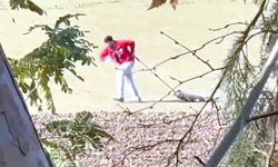 Belediye personeli, sokak köpeğini iple sürükledi