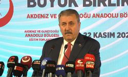 Destici: Terör örgütünün muhatap alınmasını doğru bulmuyoruz