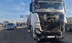 Diyarbakır'da 4 kişinin öldüğü kazada TIR'ın sürücüsü tutuklandı
