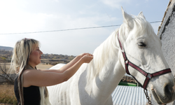 Kadın kuaförü, yelelerine taktığı kaynaklarla atları güzellik yarışmalarına hazırlıyor