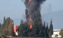 Salça fabrikasında çıkan yangın, 1 saatte kontrol altına alındı
