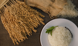 İpsala pirinci, AB Coğrafi İşaret Tescili aldı