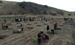 Çubuk'ta fidan dikim etkinliği yapıldı