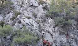 Fethiye'de kayalıkta mahsur kalan 4 keçiyi, AKUT kurtardı