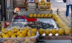 Gıda zehirlenmelerinin çoğu toksin kaynaklı