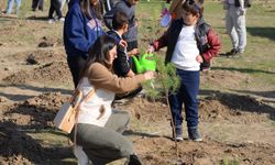 Fidanlar toprakla buluştu