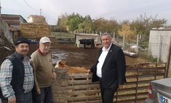 Gürer: Çiftçi zarar ediyor, besici zarar ediyor, üretici zarar ediyor