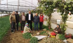 Gürer: Üretici para kazanamıyor ama rafta fiyatlar artıyor