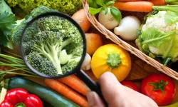 Gıda Güvenliğine ‘TENMAK’ Dokunuşu