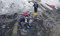 Haber alınamıyordu; dere yatağında cansız bedeni bulundu