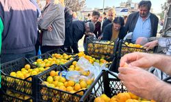 Hatay'da üreticiler, alıcı çıkmayan tonlarca mandalinayı ücretsiz dağıttı