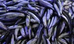 Hava soğudu, balık tezgahları hamsi ile doldu