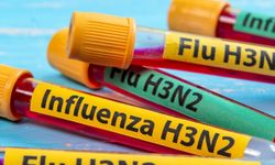 H3N2 virüsü nedir? belirtileri, yayılma hızı ve uzman uyarıları