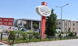 Ispanak sanıp, 'güzelavrat otu' yiyen aynı aileden 11 kişi zehirlendi